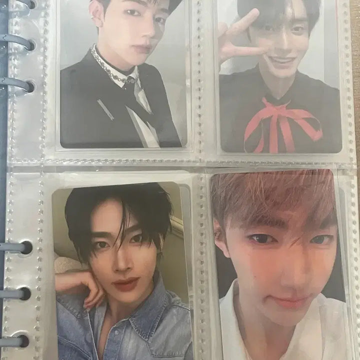 [BUNJANG] ZB1 Photocard / 제로베이스원 포카 처분 포카마켓 시세 이하 가격 제시