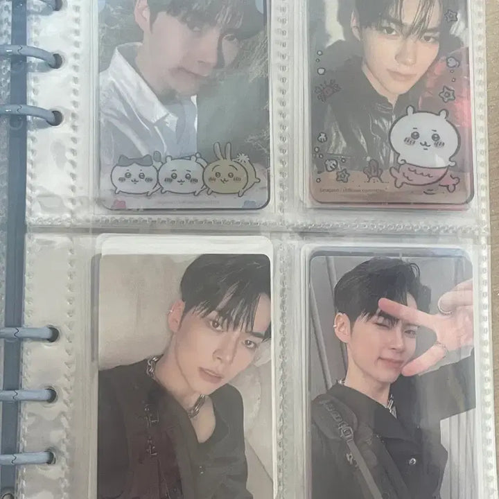 [BUNJANG] ZB1 Photocard / 제로베이스원 포카 처분 포카마켓 시세 이하 가격 제시