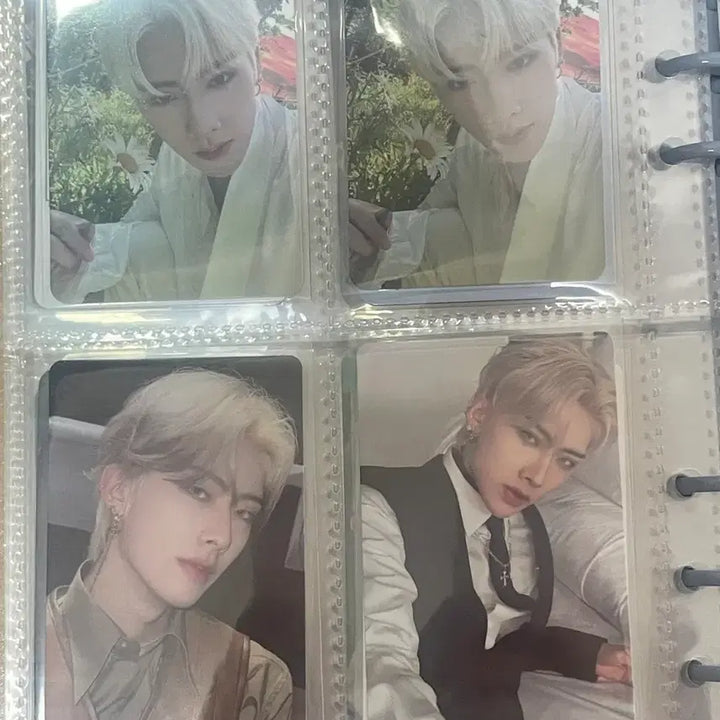 [BUNJANG] ZB1 Photocard / 제로베이스원 포카 처분 포카마켓 시세 이하 가격 제시