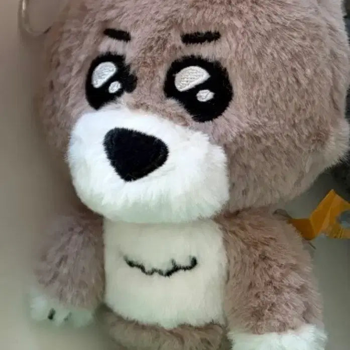 [BUNJANG] BOYNEXTDOOR Myungjae Photocard / 보넥도 쁘넥도 명명