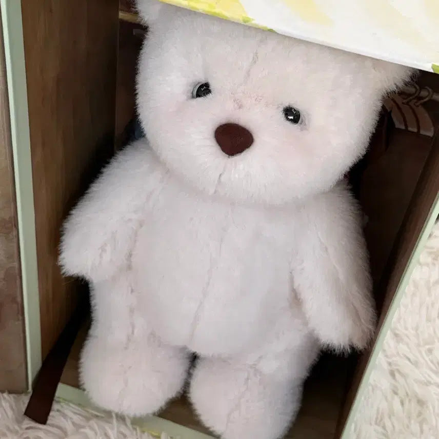 [BUNJANG] Teddy Tales 38cm Plush / 테디테일즈 대형 38cm