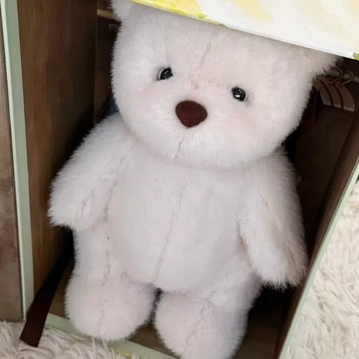 [BUNJANG] Teddy Tales 38cm Plush / 테디테일즈 대형 38cm