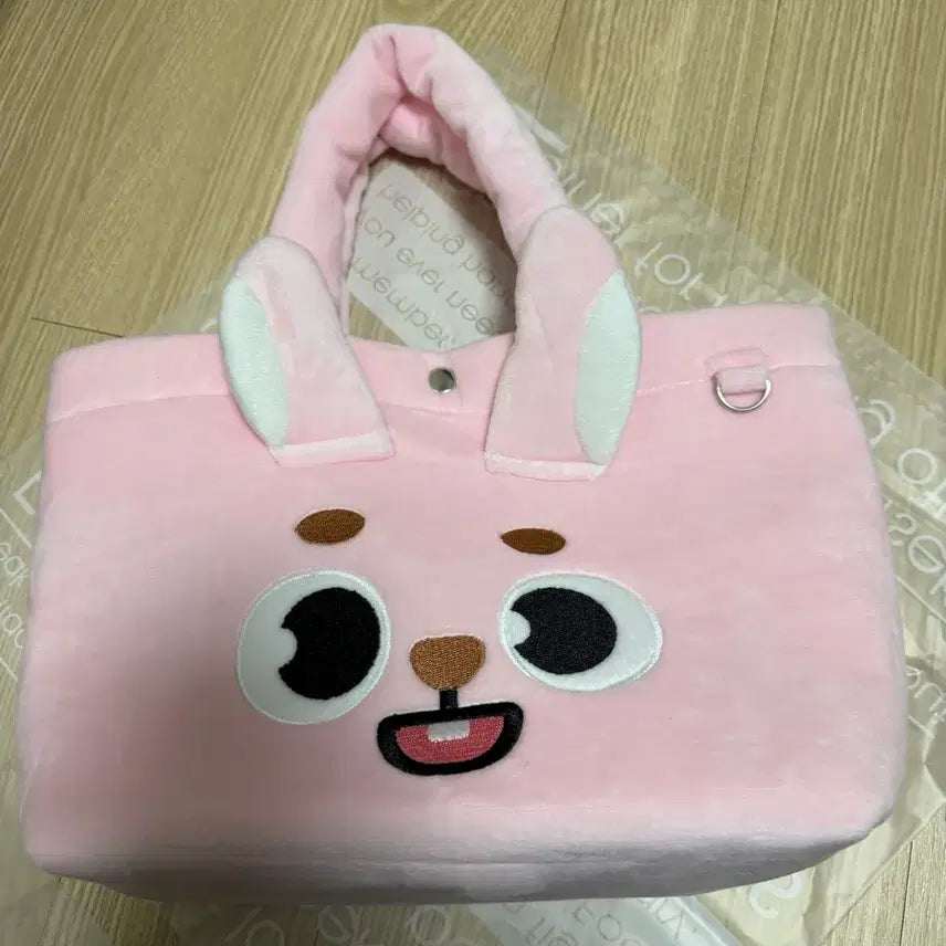 [BUNJANG] DAY6 Pill Case Bag / 데이식스 일본MD 필끼가방