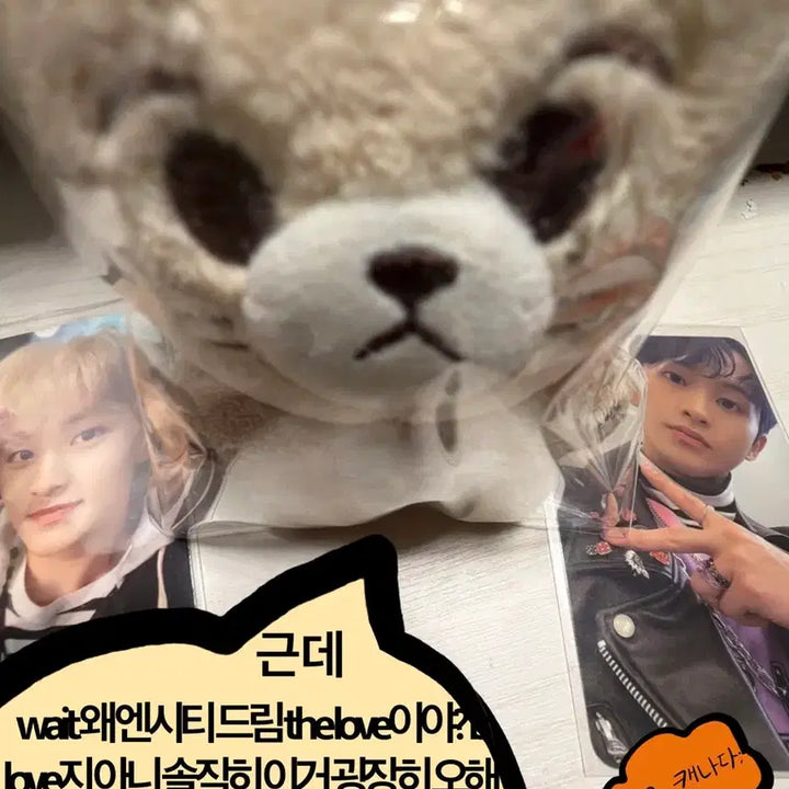 [BUNJANG] NCT Mark Lion Doll / NCT 마크 리옹 인형