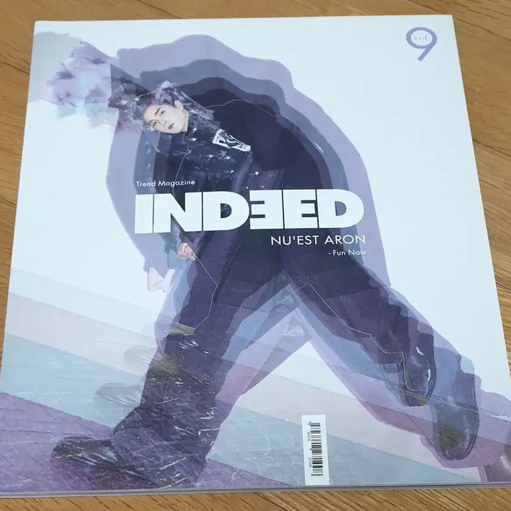 [BUNJANG] INDEED Vol. 9 Photobook (JR, Golden Child, CLC, ACE) / INDEED 인디드 vol.9 (뉴이스트 아론,골든차일드,CLC,ACE)