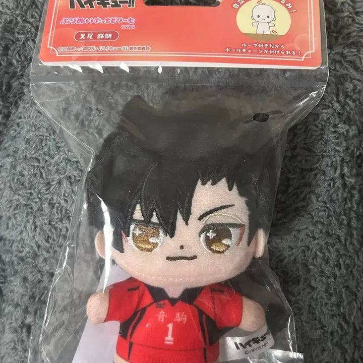 [BUNJANG] NCT Kuroo Plush Doll / 하이큐 쿠로오 푸리누이 프리누이 누이 인형