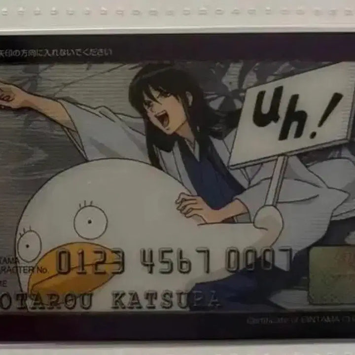 [BUNJANG] Gintama Kotaro Katsura Credit Card / 은혼 카츠라 코타로 신용카드