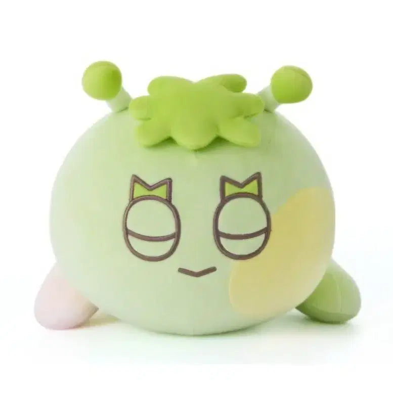 [BUNJANG] Pprenecdo Samhan 312 Cushion / (원가이하) 쁘넥도 팝업 삼한이 312 쿠션