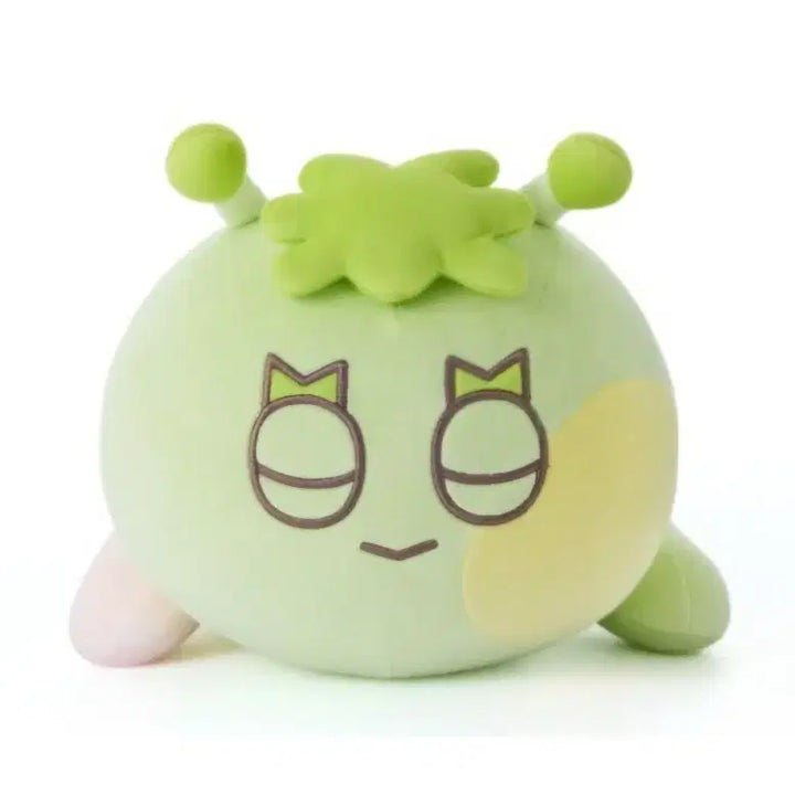 [BUNJANG] Pprenecdo Samhan 312 Cushion / (원가이하) 쁘넥도 팝업 삼한이 312 쿠션