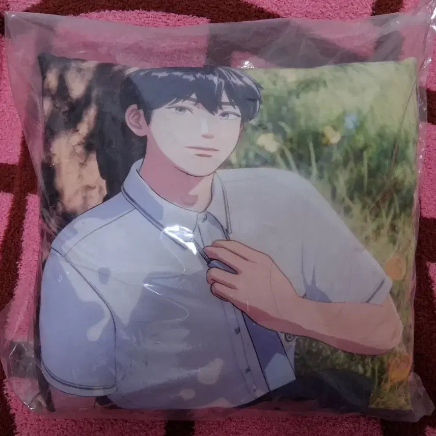 [BUNJANG] PLAVE Yejun Aniplex Cushion / 플레이브 예준 애니플러스 말랑쿠션
