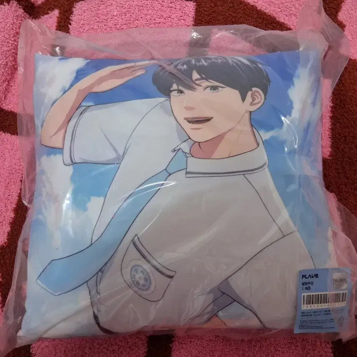 [BUNJANG] PLAVE Yejun Aniplex Cushion / 플레이브 예준 애니플러스 말랑쿠션