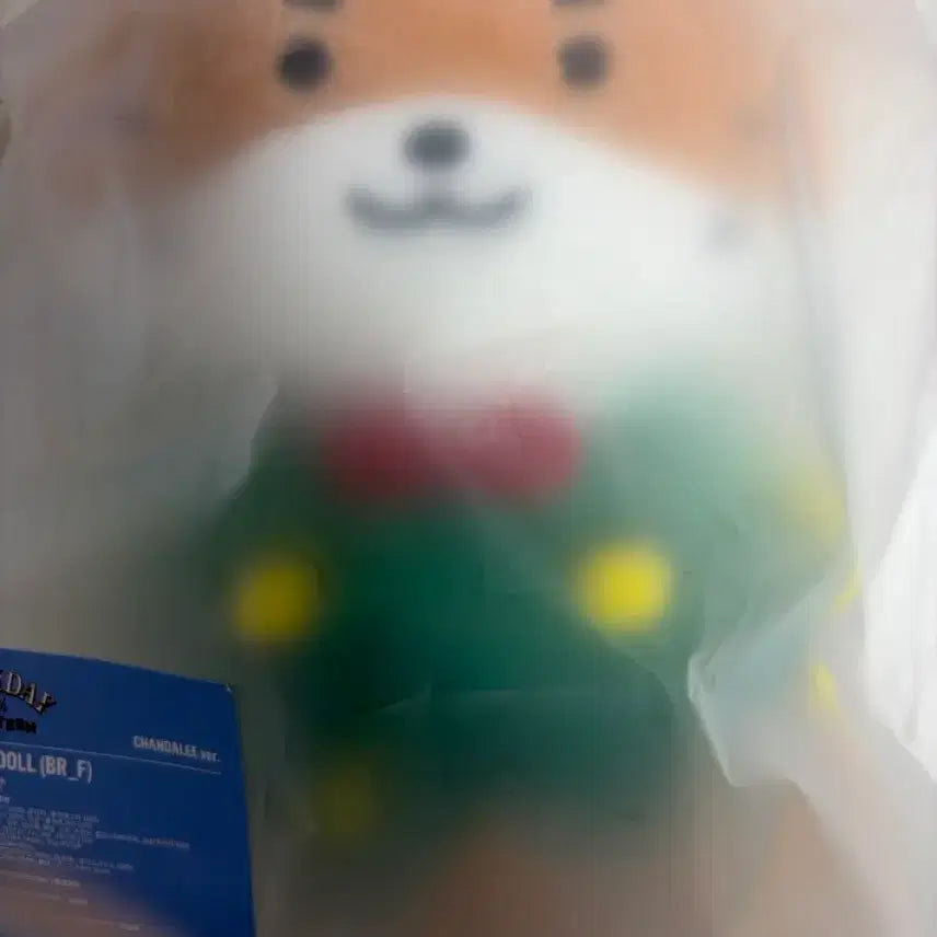 [BUNJANG] CIX Seunghun Christmas Plush Doll / 크리스마스 찬달이 플러쉬 인형 (원가 양도)