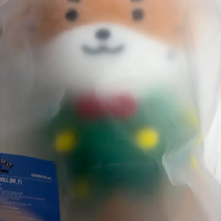 [BUNJANG] CIX Seunghun Christmas Plush Doll / 크리스마스 찬달이 플러쉬 인형 (원가 양도)