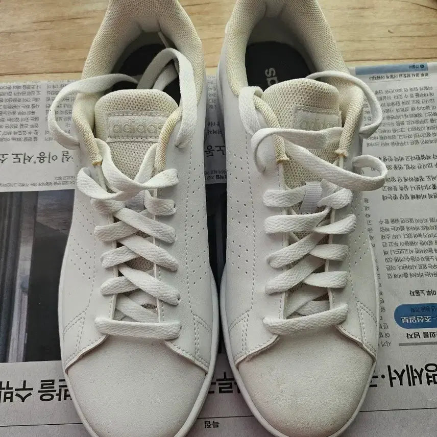 [BUNJANG] Adidas Advantage Base Sneakers (255) / 아디다스 어드밴티지 베이스 운동화(255)