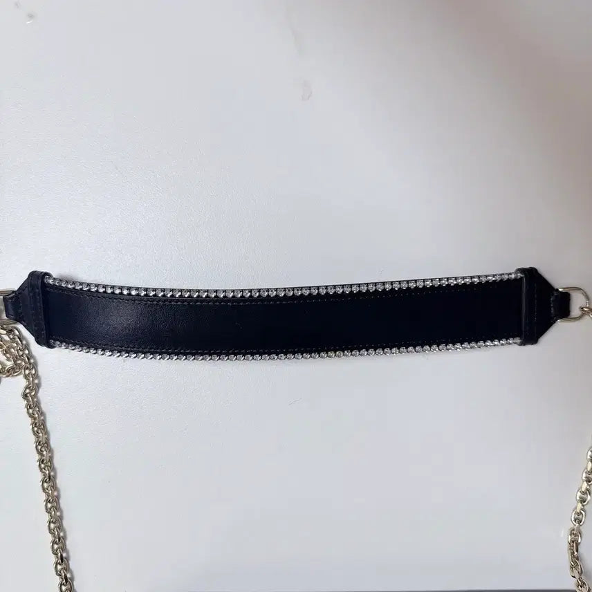 [BUNJANG] Roger Vivier Black Bag / 동영상 있음) 로저비비에 블랙백