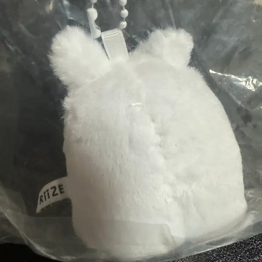[BUNJANG] RIIZE Shanghai Popup Wonbin Ghost Tonyangdeok Doll Keyring / 라이즈 상하이팝업 리라즈 유령 토냥덕 원빈 인형키링