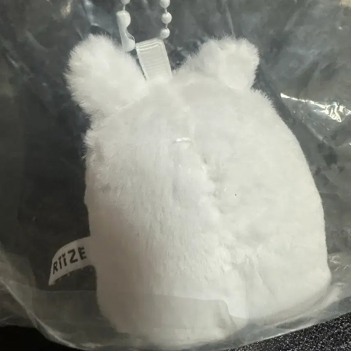 [BUNJANG] RIIZE Shanghai Popup Wonbin Ghost Tonyangdeok Doll Keyring / 라이즈 상하이팝업 리라즈 유령 토냥덕 원빈 인형키링