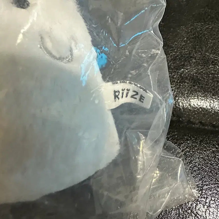 [BUNJANG] RIIZE Shanghai Popup Wonbin Ghost Tonyangdeok Doll Keyring / 라이즈 상하이팝업 리라즈 유령 토냥덕 원빈 인형키링