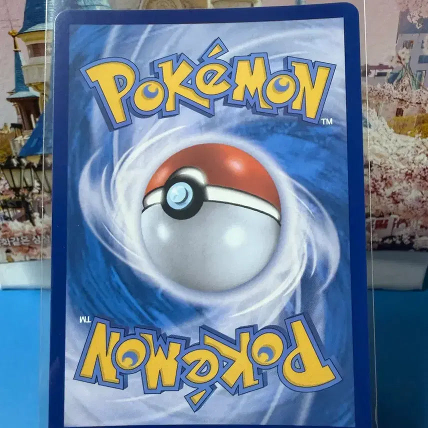 [BUNJANG] Pokemon Mega Charizard RR Card / 포켓몬카드 메가리자몽 RR