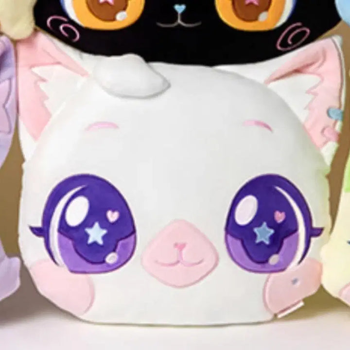 [BUNJANG] NCT WISH Sakuya Wish Cat Cushion / [당일발송] 엔시티 위시 사쿠야 위시캣 뽀실냥 쿠션