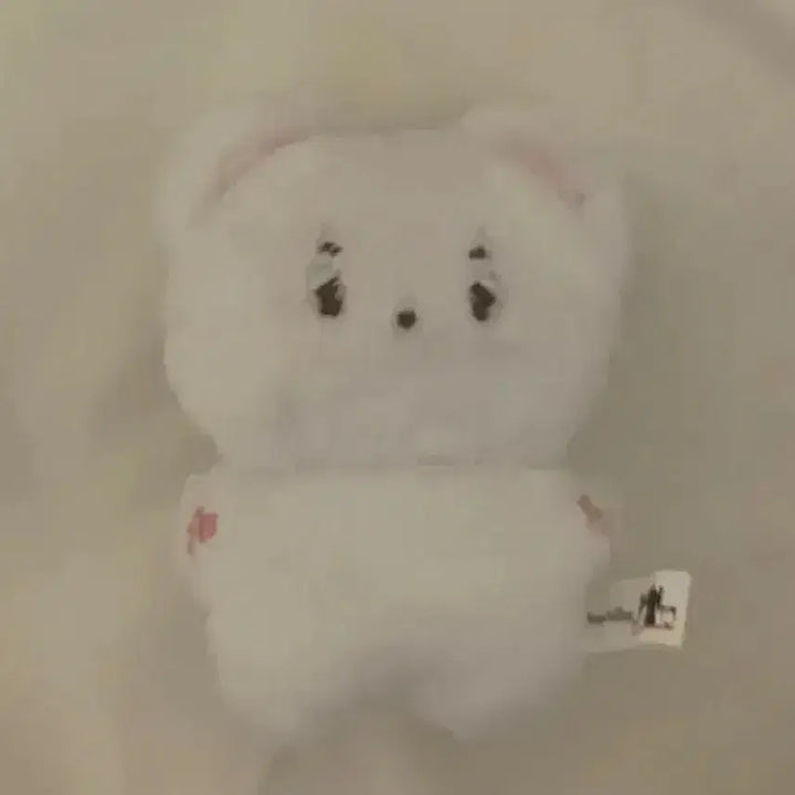 [BUNJANG] So-m-i Han / 솜이한