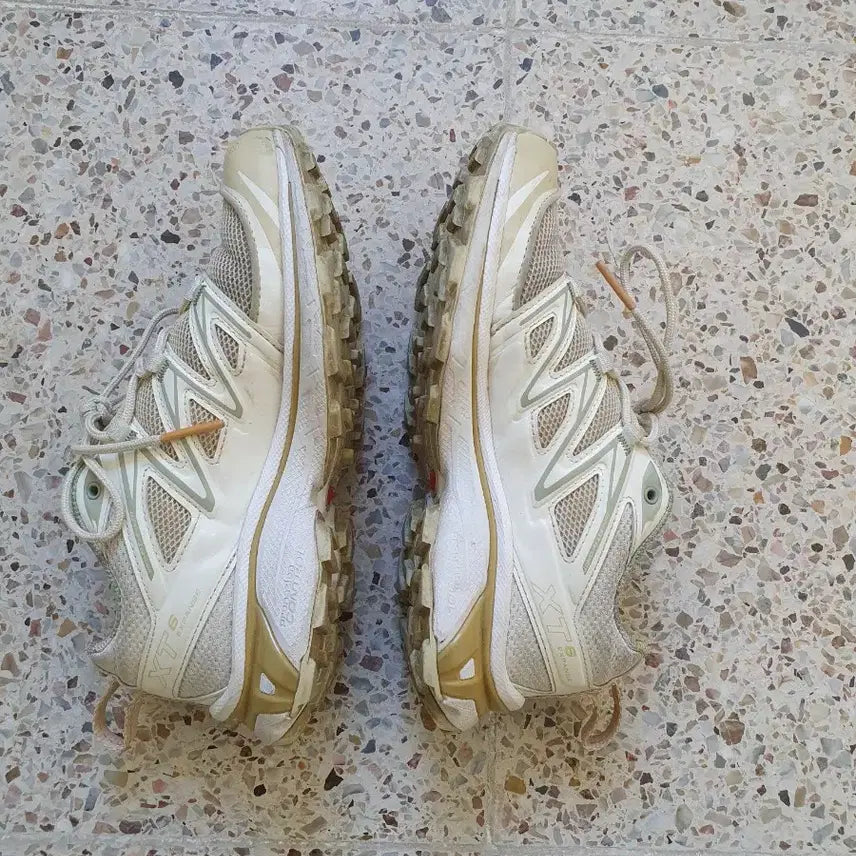 [SOLD OUT] 살로몬 XT6 225mm