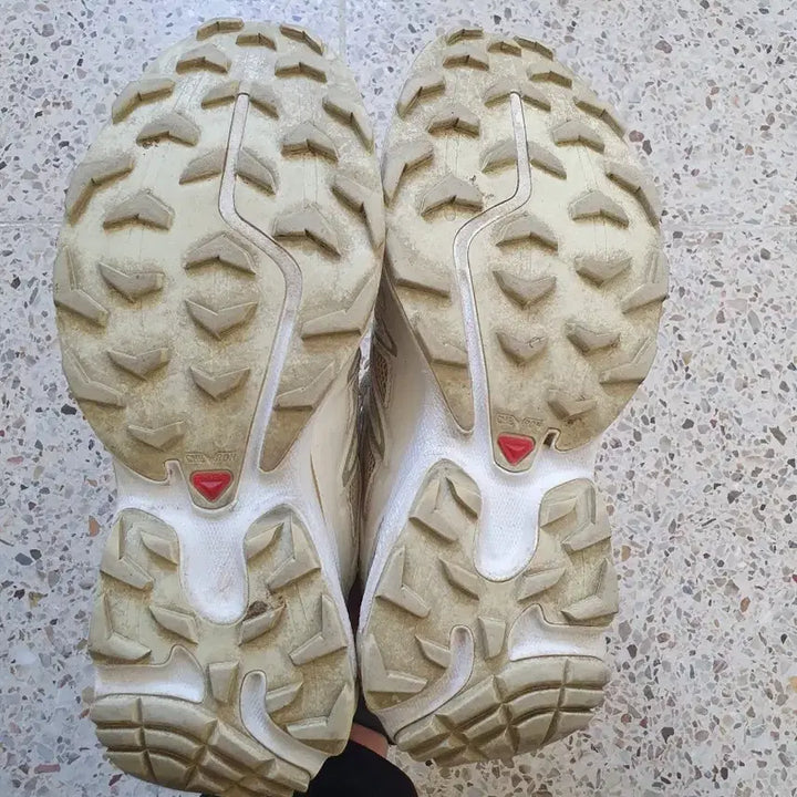 [SOLD OUT] 살로몬 XT6 225mm