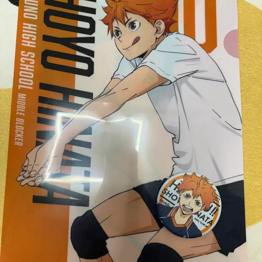 [BUNJANG] Haikyu Hinata Bundle Set File & Badge / 하이큐 히나타 파일&뱃지 일괄