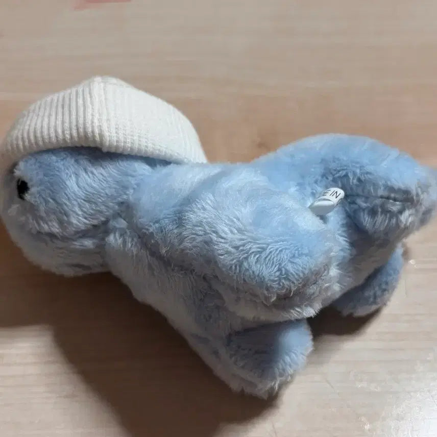 [BUNJANG] ZEROBASEONE Anton Doll / 브라키오 앤톤 인형