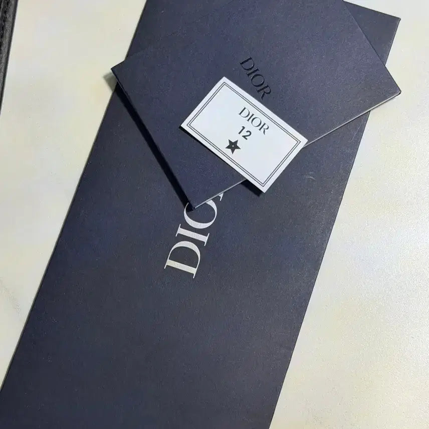 [BUNJANG] Dior Men's Tote Bag (CD Embossed) + Keyring / 디올 남성 토트백 (CD 엠보싱) 브리프케이스