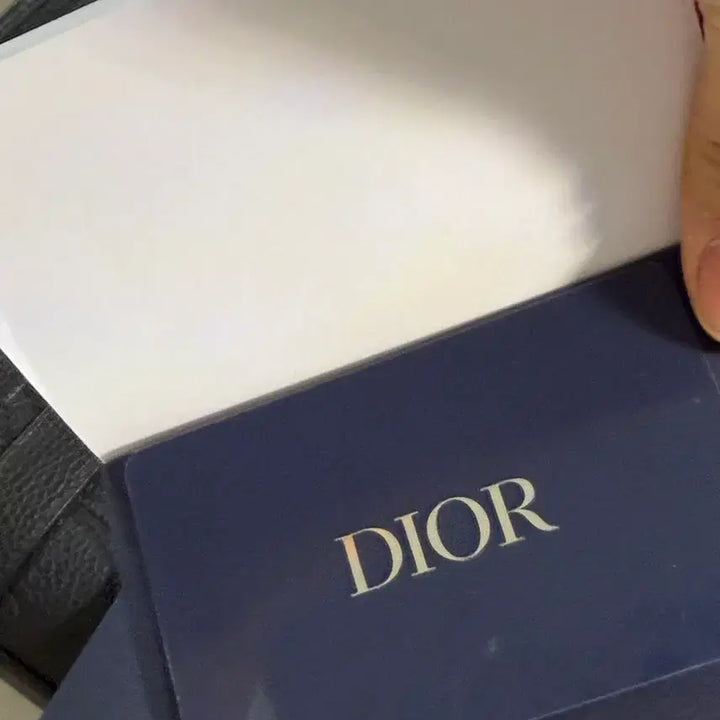[BUNJANG] Dior Men's Tote Bag (CD Embossed) + Keyring / 디올 남성 토트백 (CD 엠보싱) 브리프케이스