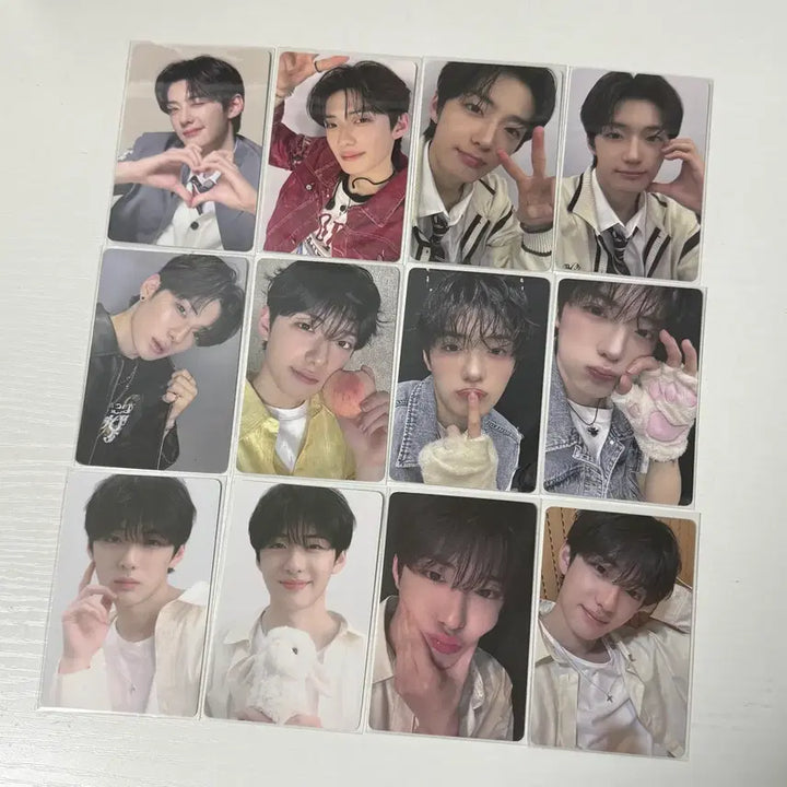 [BUNJANG] Boys Planet 2 Sung Hanbin AlphaDrive One Bundle Set Photocard / 보플 정상현 포카 일괄 보이즈플래닛2 포토카드 알디원 알파드라이브원