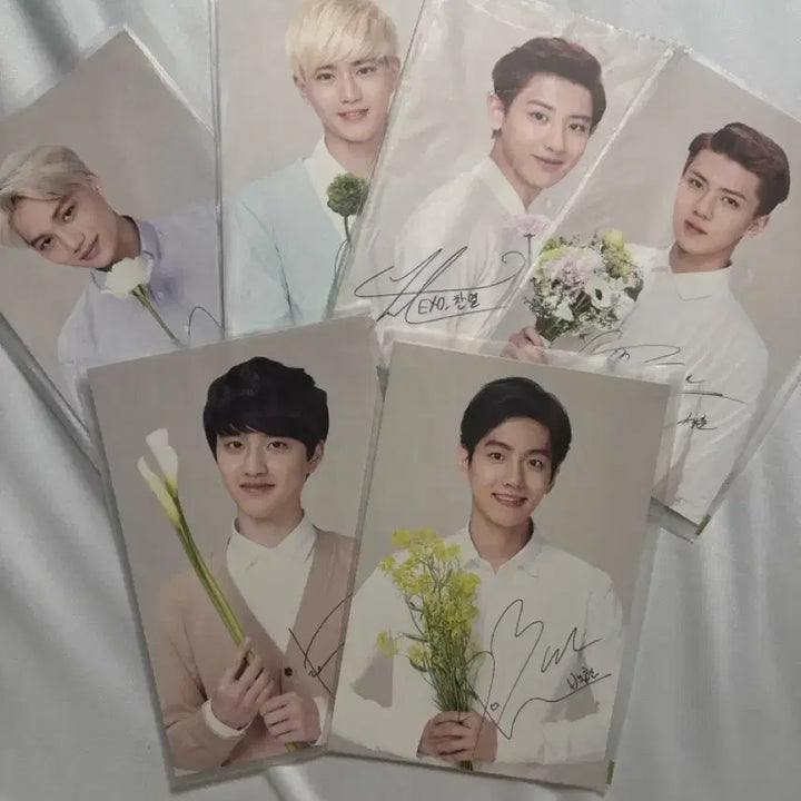 [BUNJANG] EXO Nature Republic Postcard Bundle Set / 네이처리퍼블릭 엑소 EXO 엑소 엽서판매 일괄