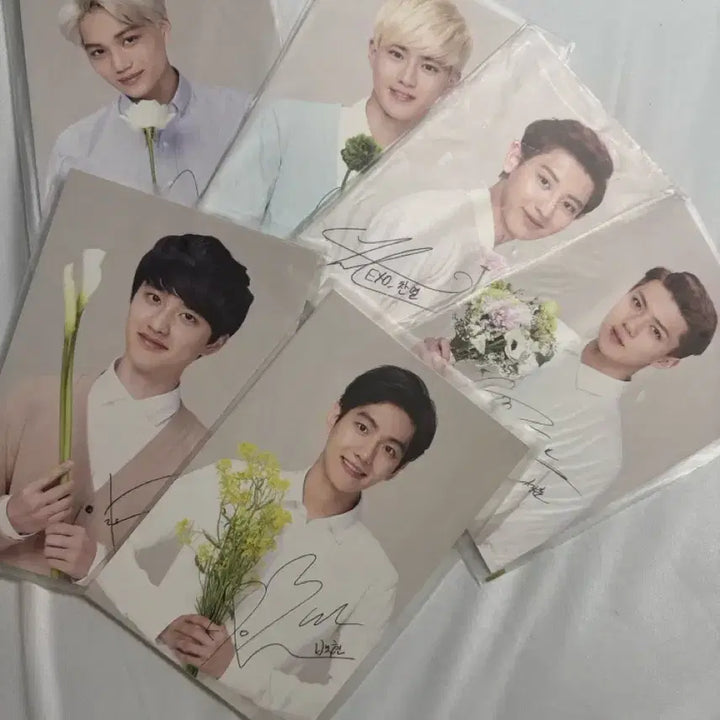 [BUNJANG] EXO Nature Republic Postcard Bundle Set / 네이처리퍼블릭 엑소 EXO 엑소 엽서판매 일괄