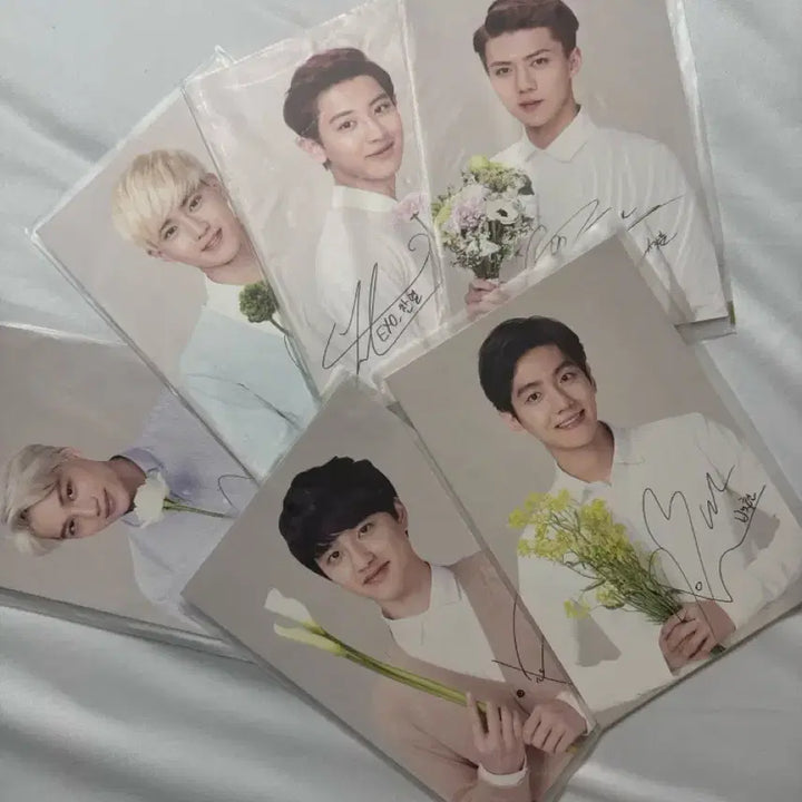 [BUNJANG] Nature Republic EXO Member Autographed Postcard Bundle Set / 네이처리퍼블릭 엑소 EXO 엑소 엽서판매 일괄