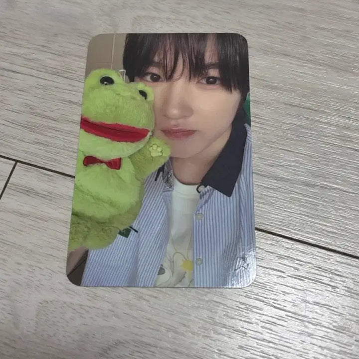 [BUNJANG] NCT Shotaro Photocard / NCT 사쿠야 포카