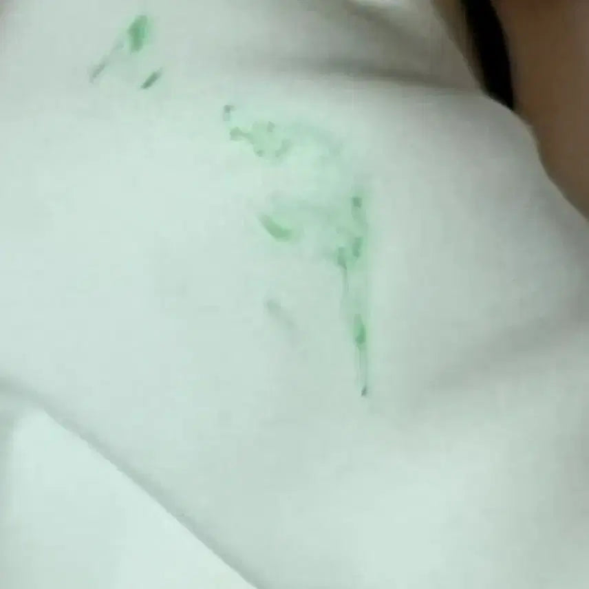 [BUNJANG] Hatsune Miku Neko Figure / 하츠네 미쿠 네코 피규어