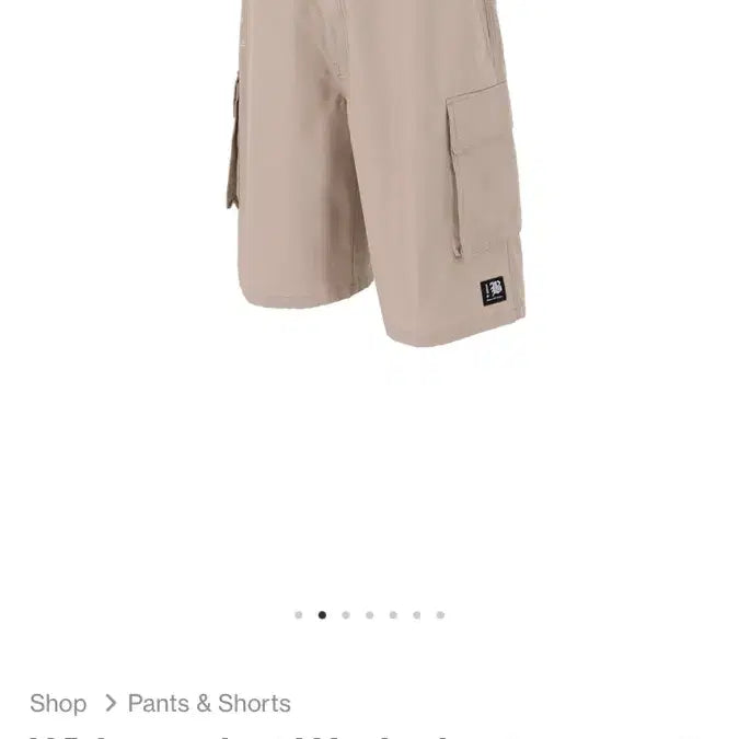 [BUNJANG] M Bobcat Wide Pocket Shorts Bermuda Pants / [M] 밥캣 와이드 포켓 쇼츠 반바지 버뮤다팬츠