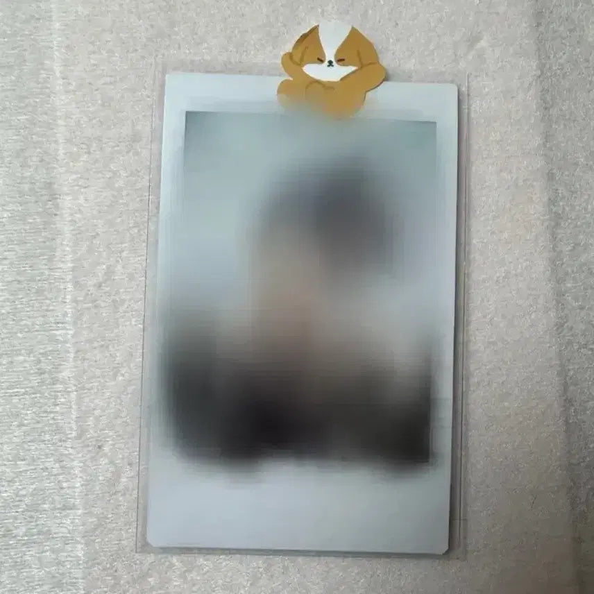 [BUNJANG] BOYNEXTDOOR Jaehyun Signed Polaroid / 보이넥스트도어 보넥도 명재현 재현 싸폴 판매