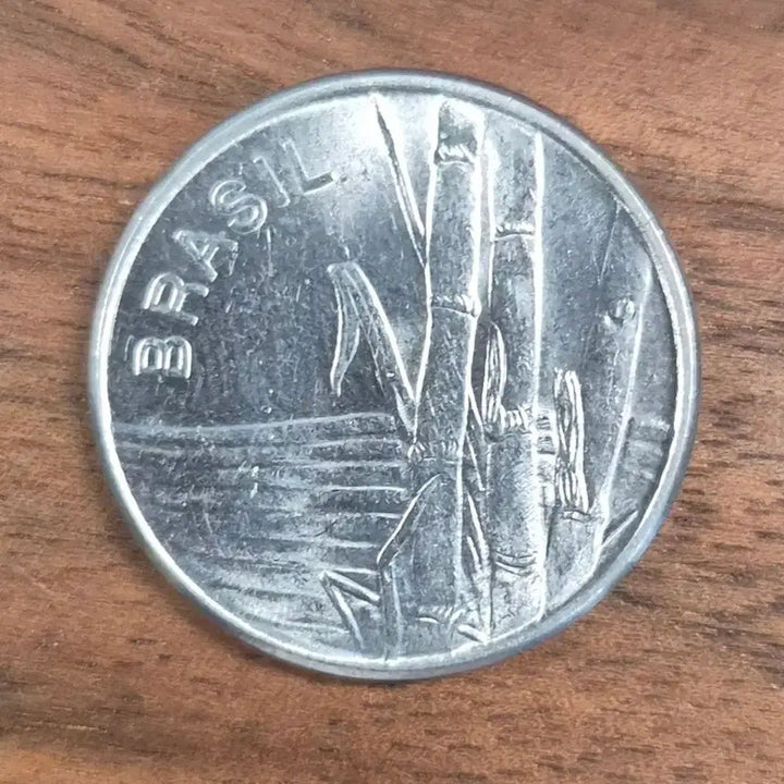 [BUNJANG] 1980 Brazil 1 Cruzeiro Coin / [EP. 681] 1980년 브라질 1 크루제이루 동전