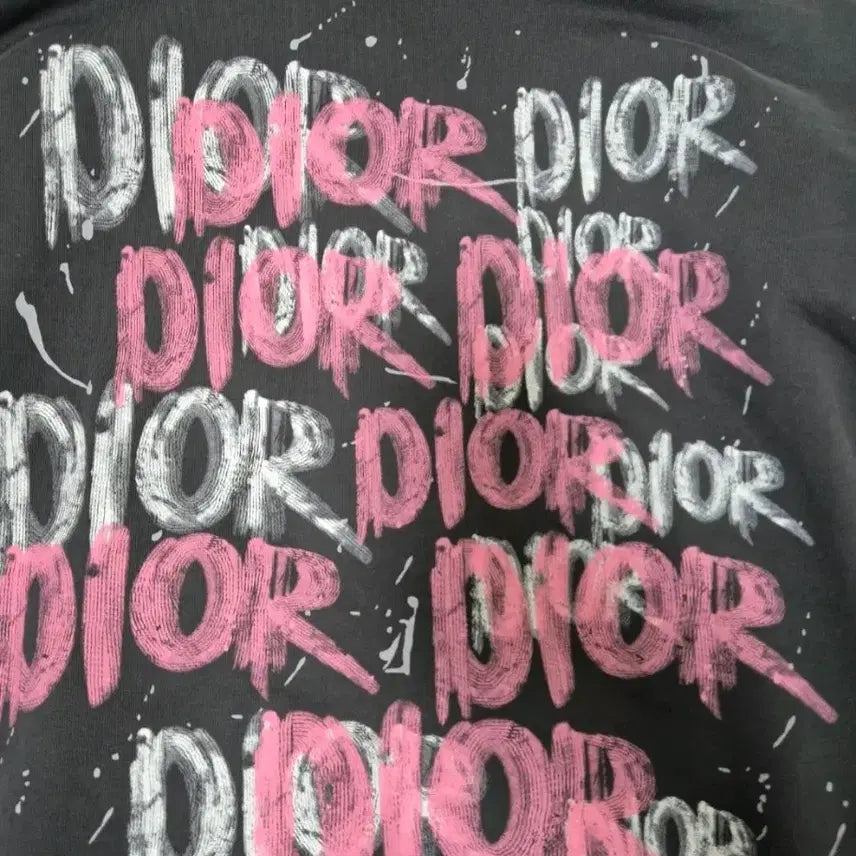 [BUNJANG] DIOR Gray Logo Oversized Hoodie / 디올 DIOR 그레이 로고 오버핏 후드티!새상품급!