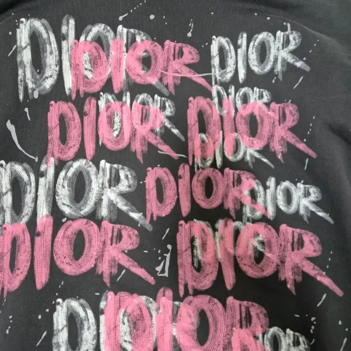 [BUNJANG] DIOR Gray Logo Oversized Hoodie / 디올 DIOR 그레이 로고 오버핏 후드티!새상품급!