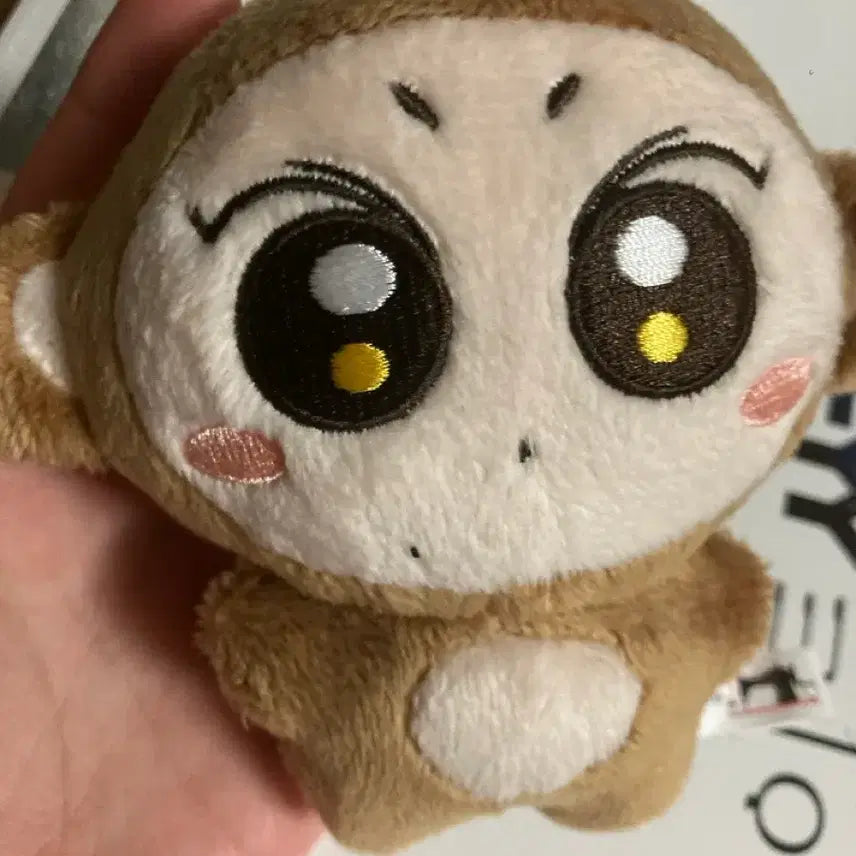 [BUNJANG] ENHYPEN Jungwon 10cm / 엔하이픈 쩡숭이 양정원 10cm