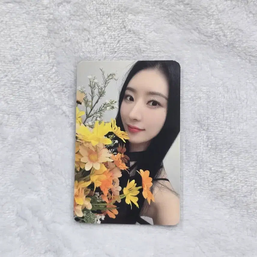 [BUNJANG] Dreamcatcher Sua POB Photocard / 드림캐쳐 수아 특전포카