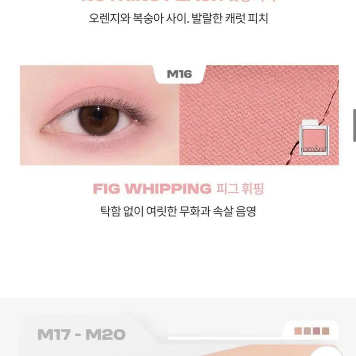 [BUNJANG] Rom&nd Shadow Palette Set / 롬앤 섀도우 토슈즈 피그휘핑 키튼젤리 포도크림 먼지 슈가프레즐 캔디드베리