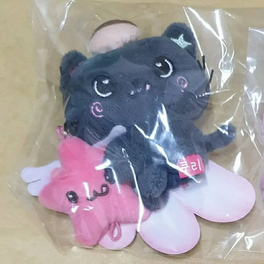 [BUNJANG] NCT WISH Riku Mini Doll / nctwish 엔시티위시 미니돌 쿠리 리쿠