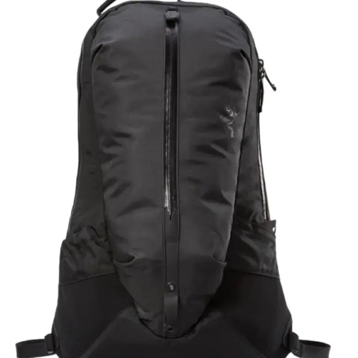 [BUNJANG] Arc'teryx Arro 22 Backpack / 아크테릭스 아로 22 블랙