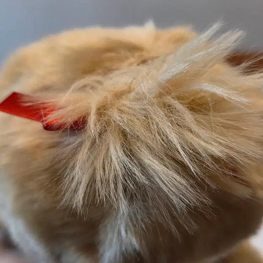 [BUNJANG] Monchhichi Brown Medium Plush Toy / 몬치치 브라운 중형