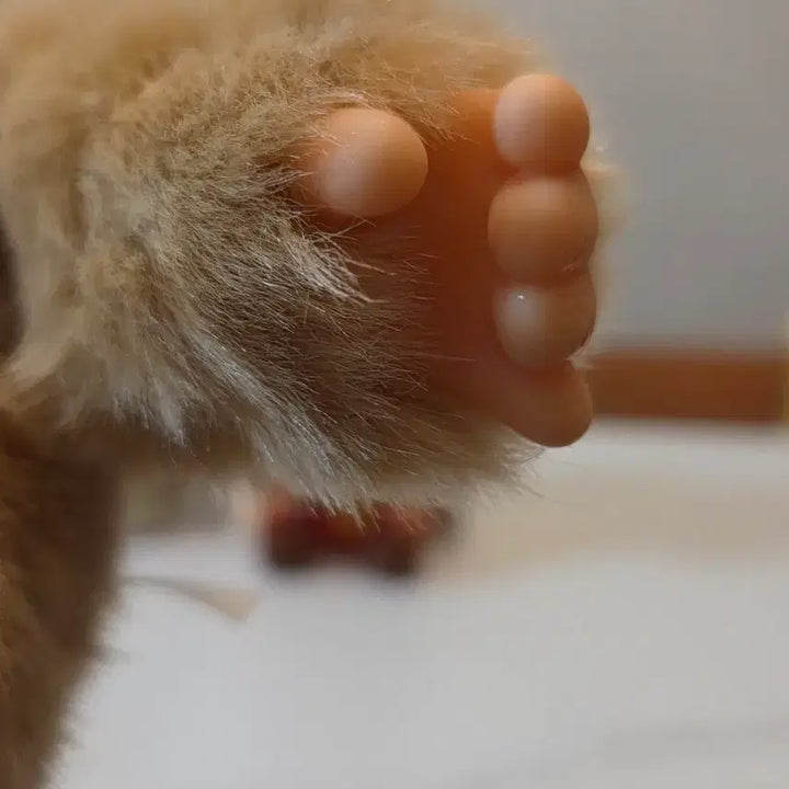 [BUNJANG] Monchhichi Brown Medium Plush Toy / 몬치치 브라운 중형