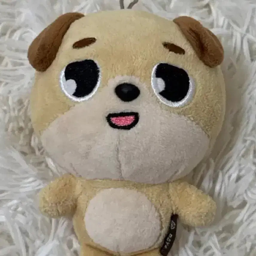 [BUNJANG] NCT DREAM Denimals 2018 Coin / 데니멀즈 18년도 돈